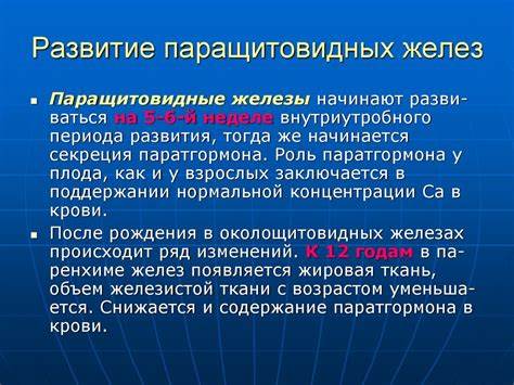 Диета мухиной меню рецепты Диета При Паращитовидной Железы — Похудение Диета Правильное Питание Диета При Паращитовидной Железы — Похудение Диета Правильное Питание Диета мухиной меню рецепты