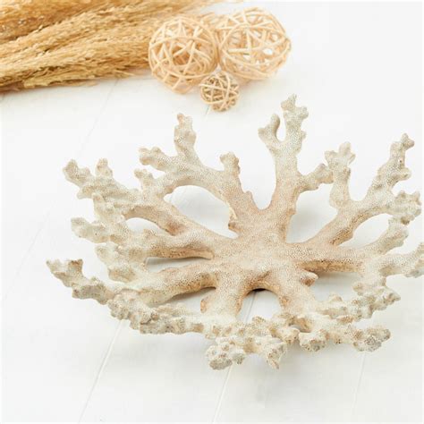 Shop for fake coral decorations at walmart.com. White Faux Coral Dish - Coastal Decor - Home Decor ...