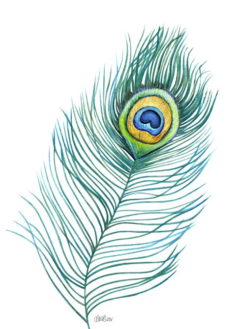 peacock feather printable