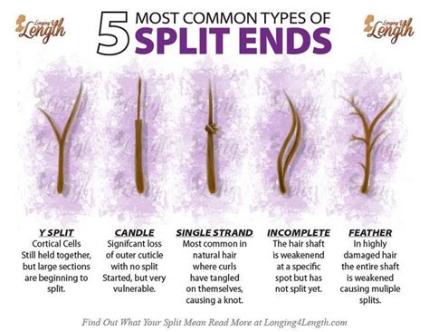 Types Of Split Ends And What They Mean About Your Hair Split Ends Hair Hair Breakage Natural