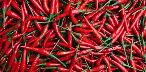 What Is The Worlds Hottest Chilli