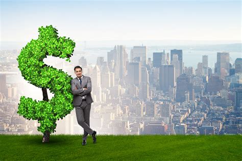 Sustainable Investing - is it sustainable? - Serenity
