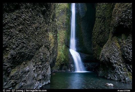 Picturephoto Oneonta Falls Columbia River Gorge Oregon