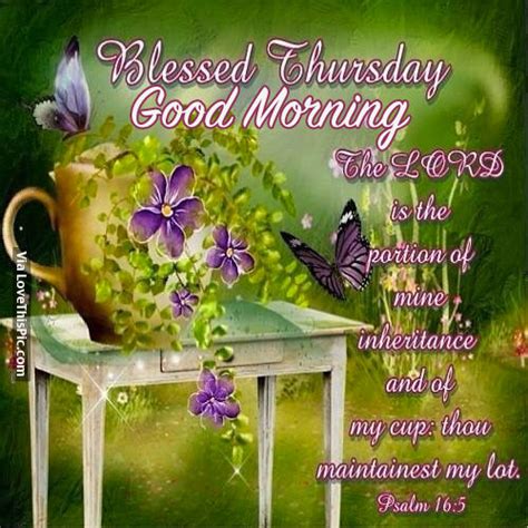 Blessed Thursday Good Morning Pictures Photos And Images For