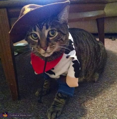 Cowboy Kitty Costume No Sew Diy Costumes Cute Cats Tabby Cat Cat