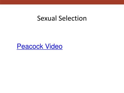 Ppt Sexual Selection Powerpoint Presentation Free Download Id5501688