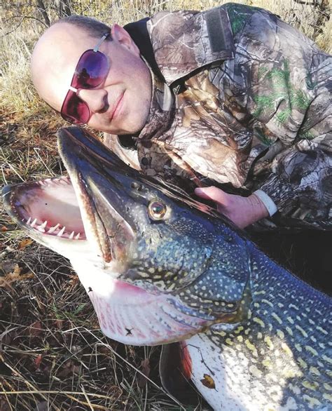 Huge Pike Was Larger Than New World Record
