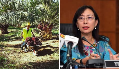 Teresa kok, malaysia's minister of primary industries, agreed with the supermarket's decision and encouraged other chains in malaysia to do the same. Haze: Stop pointing fingers at oil palm companies, says ...