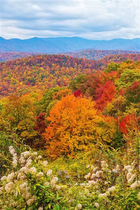 Bucket List Item Drive The Blue Ridge Parkway In Asheville North