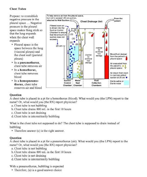 Mark K NCLEX Review Study Guide Over 90 Pages of Notes From Mark Klimek