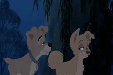 Scamp And Angel Disneys Couples Image 19526659 Fanpop