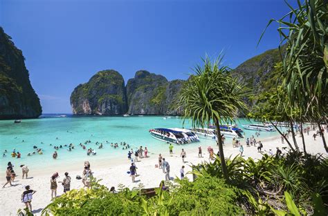 Thailand Beach Used As Set For Leonardo Dicaprio Movie The Beach Closed