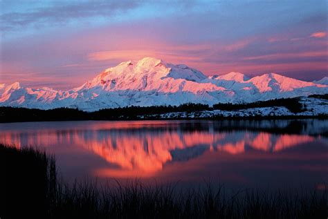 Usa Alaska Denali National Park Photograph By Hugh Rose Pixels
