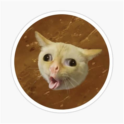 Coughing Cat Meme Sticker By Bizkitbones Ubicaciondepersonascdmxgobmx