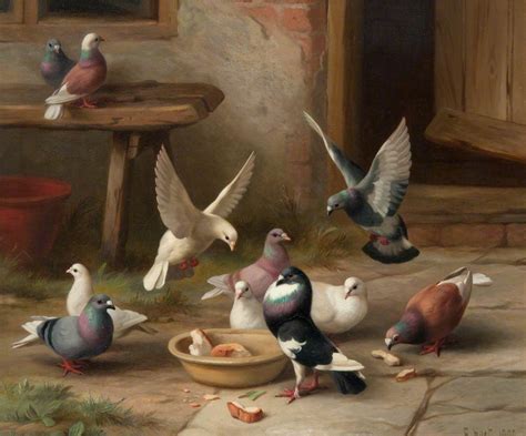 Pigeons Feeding Art Uk Birds Painting Painting Art Painting