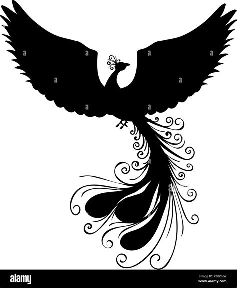 Silhouette Oiseau Phoenix Mythologie Ancienne Fantaisie Vector