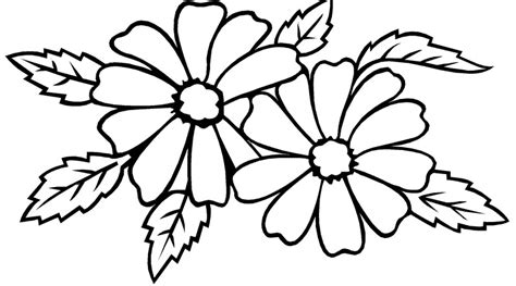 Sketsa Hitam Putih Gambar Mewarnai Bunga Melati Terbaru Cari Gambar