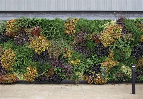 Custom Living Walls For Any Space