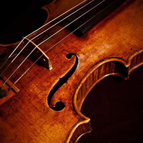 Violin And Viola Lessons Da Capo Music Studio
