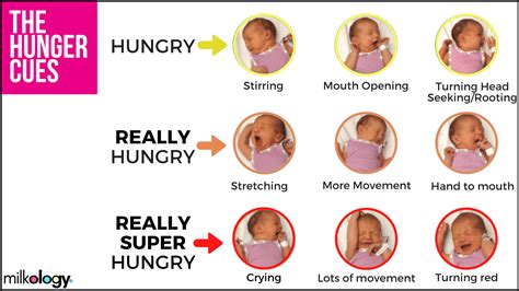 11 Breastfeeding Infographics You Should See Milkology