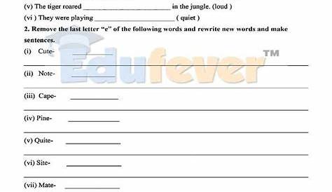 Download CBSE Class 5 English Revision Worksheet in PDF