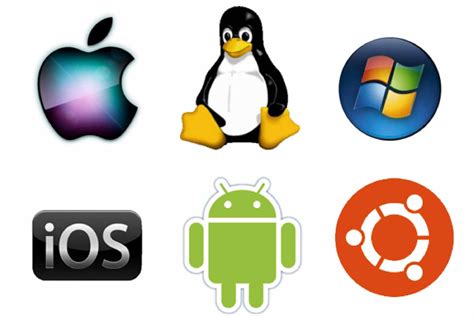 8 Different Types Of Operating Systems With Examples My Update Web