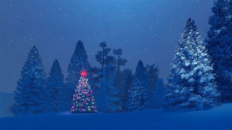 Decorated Christmas Tree Among Snowy Fir Forest At Night