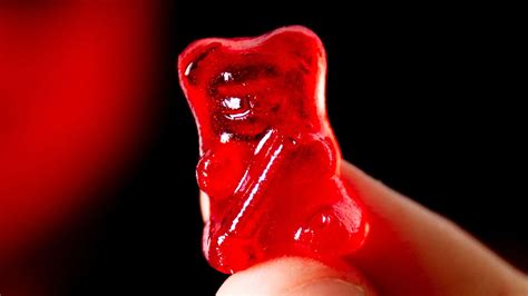 This Is Not Just Any Gummy Bear It Is Lil Nitro The Worlds Hottest Gummy Bear Shouts