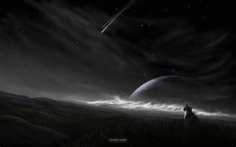 Free download hd & 4k quality many beautiful desktop wallpapers to choose from. خلفيات أنمي القط بلاك كات , صور القطة السوداء , 2021 Black ...