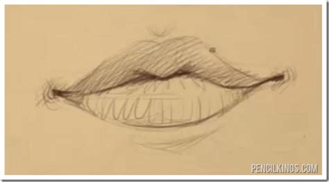 How To Draw Male Lips Realistic Learn To Draw Realistic Lips Starting