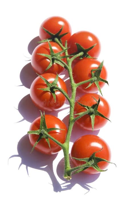 Red Cherry Tomatoes Stock Image Image Of Dieting Cherry 9309737