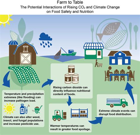 Farm To Table The Potential Interactions Of Rising Co And Climate Change On Food Safety And