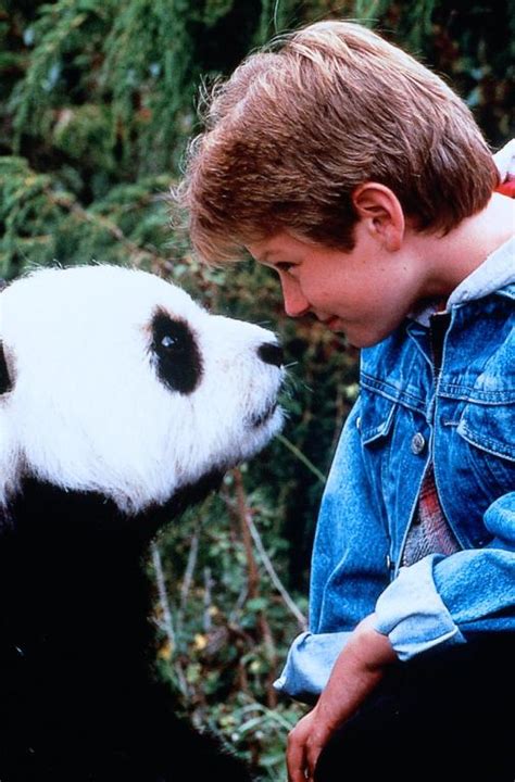 Imagini The Amazing Panda Adventure 1995 Imagini Incredibilele