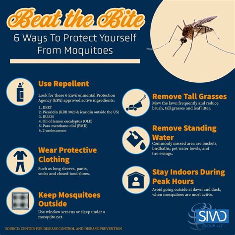 6 Ways To Prevent Mosquito Bites Sivad Group Llc Sivad Sustainable