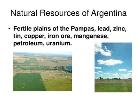 Ppt The Agricultural Industry Of Argentina Powerpoint Presentation