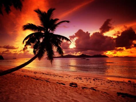 Tropical Paradise Sunset 6408 Hd Wallpapers With Images Sunset