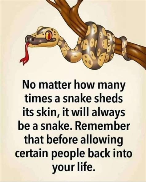 A Snake Will Always Be A Snake • Rememberthat Strong Mind Quotes