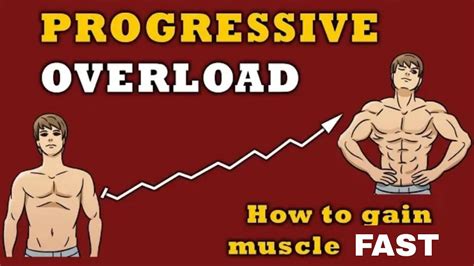 Progressive Overload Basic Rule Muscle Building Tips For Beginners