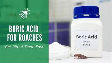 Boric Acid For Roaches Is It Effective For Getting Rid Of Roaches