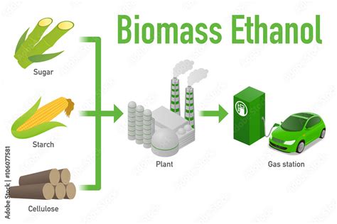 Biomass Ethanol Made Form Sugar Starch Cellulose Diagram