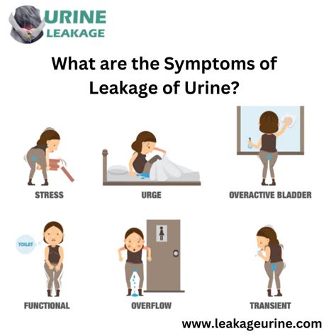 What Are The Symptoms Of Leakage Of Urine