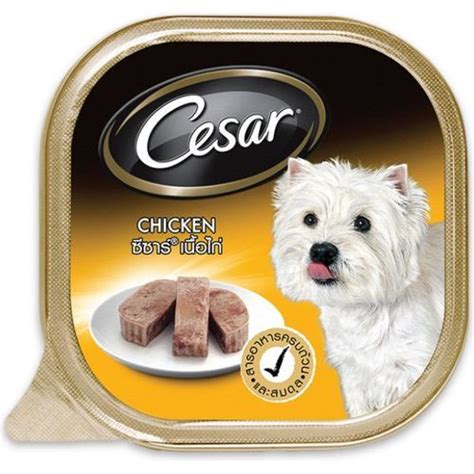 Cesar Dog Wet Food Chicken 100g Shopee Singapore