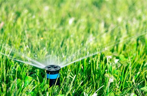 Watering Your Lawn Williamson Source