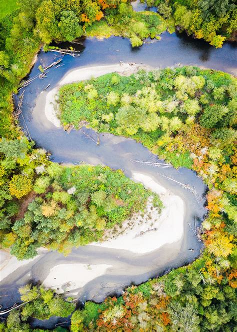 Hd Wallpaper Aerial Photography Of River Surrounded By Trees Drone