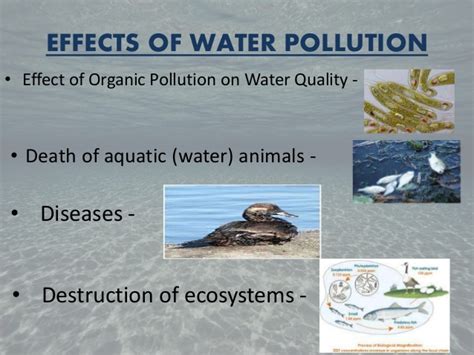 Polluted water is of great concern to the aquatic organism, plants, humans, and climate and indeed alters the ecosystem. Water pollution