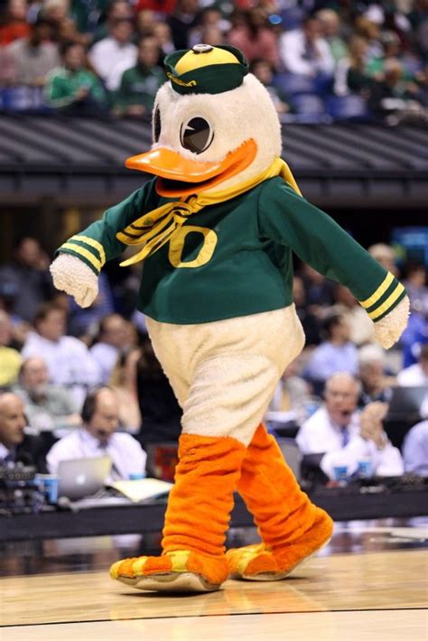 The Oregon Duck Best College Basketball Mascot 2015 Best College