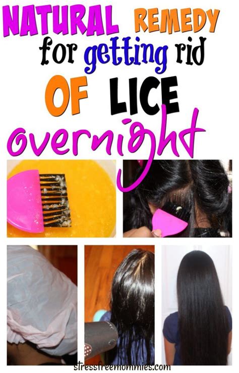 Wetting the hair can make it easier to spot them. Hair Salons That Get Rid Of Lice