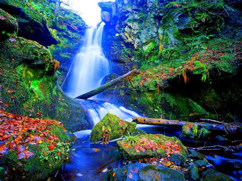 Forest Falls Desktop Background Wallpaper 1592428 25600x1600 Falls