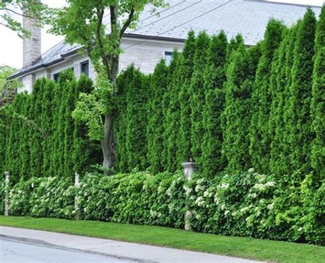 45 Privacy Fence Design Ideas To Get Inspired Digsdigs