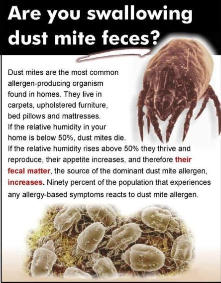 Dust Mites Pure Service Pro
